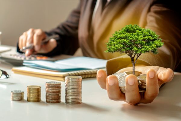 Real Estate Investing for Beginners