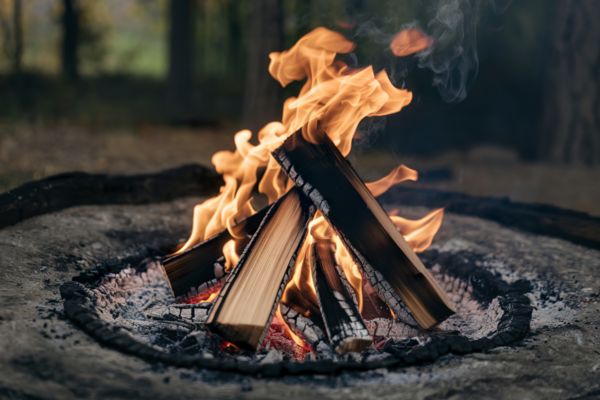 Real-life FIRE success stories